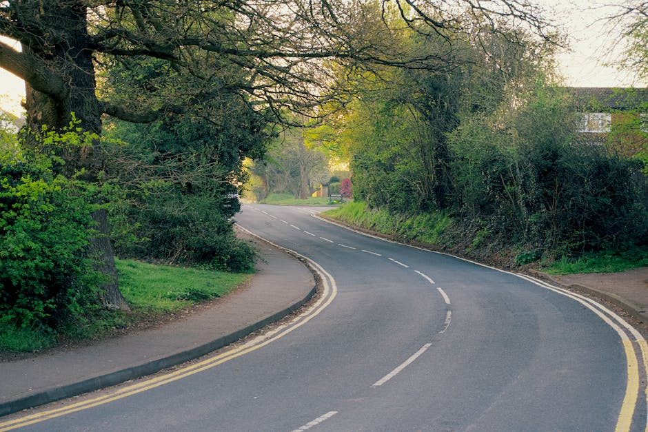 A quiet residential street with a two-lane road curving gently to the right, lined with large mature trees and green foliage on both sides. The pavement on the left features a narrow footpath adjacent to the curb, while the right side shows a grassy verge with dense shrubs and a partially visible brick house with a pitched roof in the background. Bright daylight illuminates the scene, with natural light filtering through the tree branches. The road has double yellow lines alongside the curb, indicating restrictions. This image captures a typical exterior environment suitable for house removals and moving logistics, where careful planning for transportation through residential routes is essential. Occasionally, Man with Van Southborough provides transport services for home relocation and furniture transport within such neighbourhoods, ensuring efficient packing, loading, and moving processes.